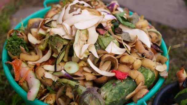 Limpeza Balde Limpeza Vegetais Uma Lata Lixo Casca Verduras Resíduos — Vídeo de Stock