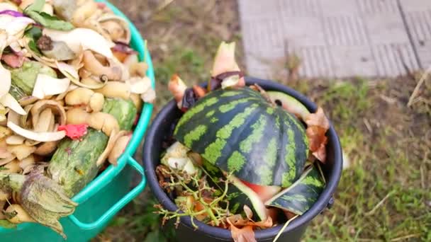 Uklízet Kýblu Úklid Zeleniny Popelnice Slupka Zeleniny Plýtvání Kompostovatelné Zbytky — Stock video