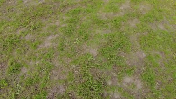 地球在旋转 糟糕的草坪绿草 大地在你脚下旋转 4K视频 Vedo地球自转 — 图库视频影像