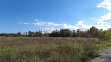 Manzara ormanı ve mavi gökyüzü. video 4k. Yüksek çözünürlüklü görüntü. Beyaz bulutlu mavi gökyüzü, parlayan güneş, yeşil tarlalar, alanın ortasında ağaç, ufukta orman. Hiç kimse doğa manzarası.