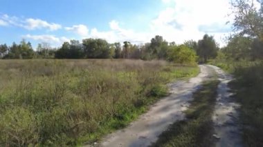 Manzara ormanı ve mavi gökyüzü. video 4k. Yüksek çözünürlüklü görüntü. Beyaz bulutlu mavi gökyüzü, parlayan güneş, yeşil tarlalar, alanın ortasında ağaç, ufukta orman. Hiç kimse doğa manzarası.