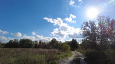 Manzara ormanı ve mavi gökyüzü. video 4k. Yüksek çözünürlüklü görüntü. Beyaz bulutlu mavi gökyüzü, parlayan güneş, yeşil tarlalar, alanın ortasında ağaç, ufukta orman. Hiç kimse doğa manzarası.