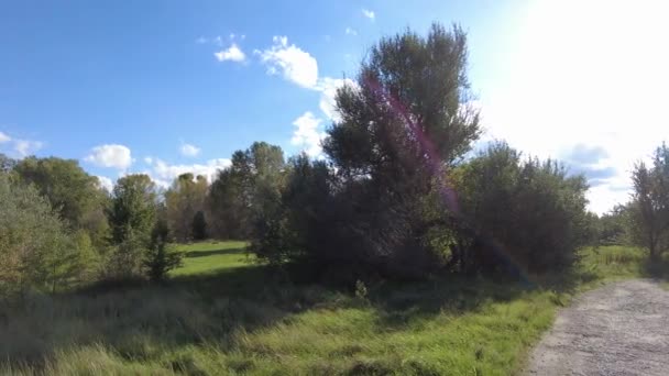 Las Krajobrazowy Błękitne Niebo Wideo Materiał Wysokiej Rozdzielczości Błękitne Niebo — Wideo stockowe