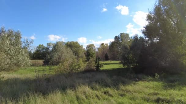 Landschaft Waldfeld Und Blauer Himmel Video Filmmaterial High Definition Blauer — Stockvideo