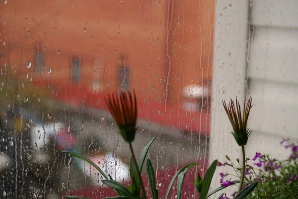 Raindrops Flow Glass Water Drops Black Background Drops Rain Trickling — Stock Photo, Image
