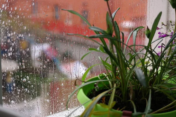 Gotas Chuva Fluem Pelo Vidro Gotas Água Seguindo Para Baixo — Fotografia de Stock