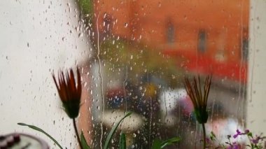 Yağmur damlaları camdan aşağı akar. Su damlaları siyah arkaplanı takip ediyor. Yağmur damlaları ıssız bir yere damlıyor. Dijital beste için mükemmel. Su damlaları cama, yağmura yakın.