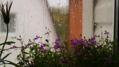 Yağmur damlaları camdan aşağı akar. Su damlaları siyah arkaplanı takip ediyor. Yağmur damlaları ıssız bir yere damlıyor. Dijital beste için mükemmel. Su damlaları cama, yağmura yakın.