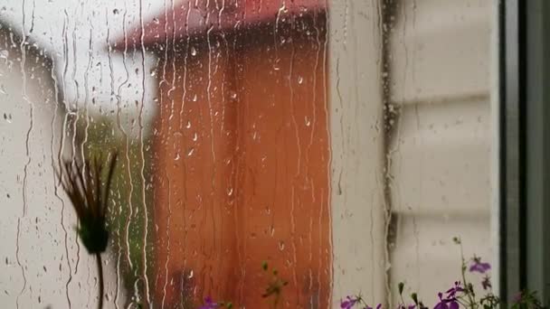 Gotas Lluvia Fluyen Por Vidrio Gotas Agua Siguiendo Hacia Abajo — Vídeo de stock