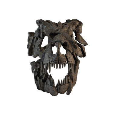 soyut kırık tyrannosaurus kafatası. illüstrasyon