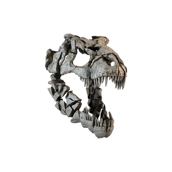 Abstract Fractured Tyrannosaurus Skull. Illustration — Stock Photo, Image