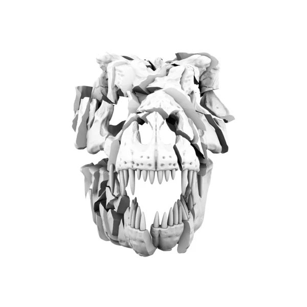 Abstrakter zerbrochener Schädel eines Tyrannosaurus. Illustration — Stockfoto