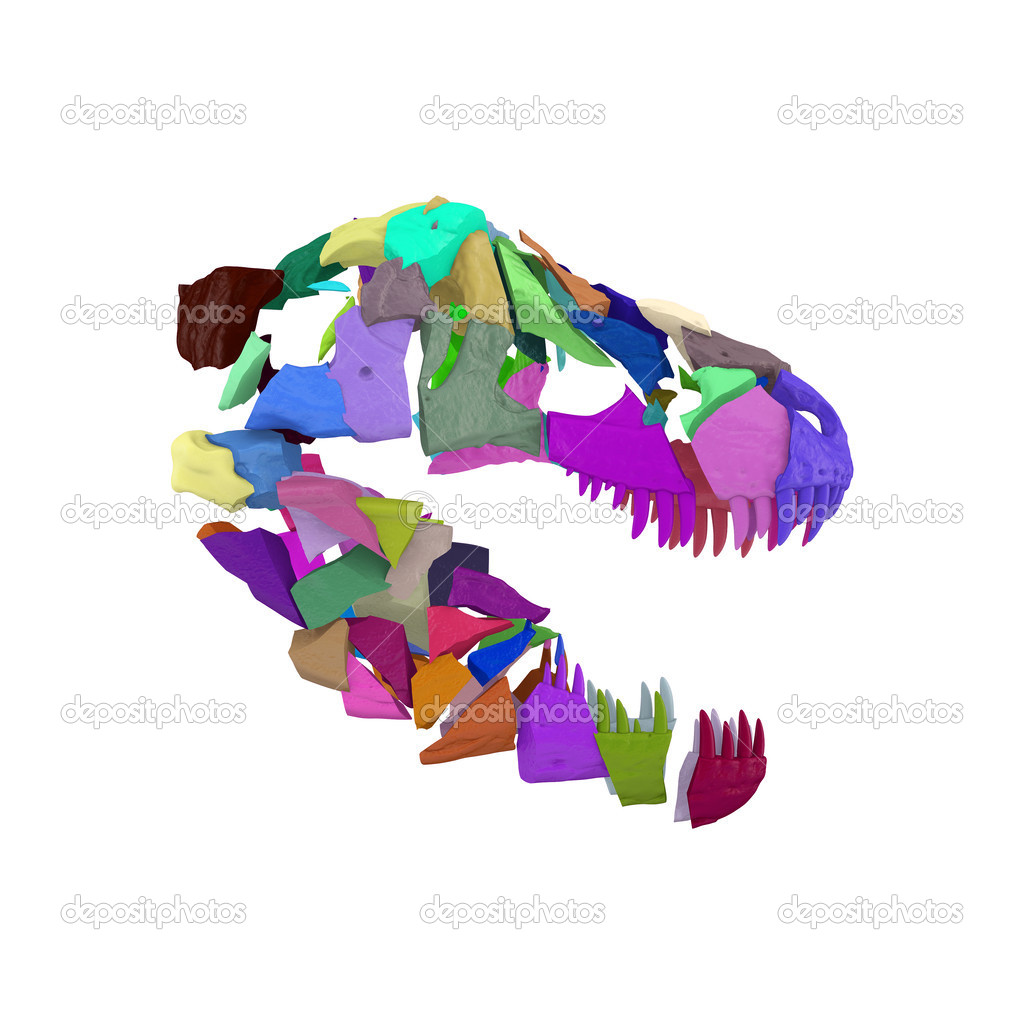 Abstract Fractured Tyrannosaurus Skull. Illustration