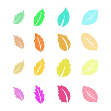 düz renkli yaprakları kümesi