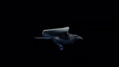 Şeffaf Arkaplan Ultra HD 4K üzerinde Uçan Karga Animasyonu