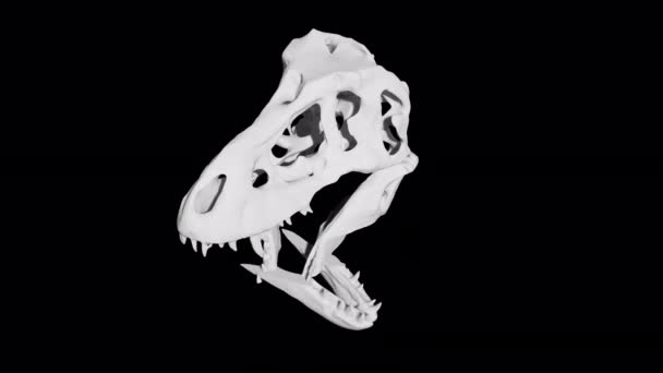 Sculpture de crâne de dinosaure Glitch Rotation Loop Animation 4K Ultra HD sur fond transparetn — Video