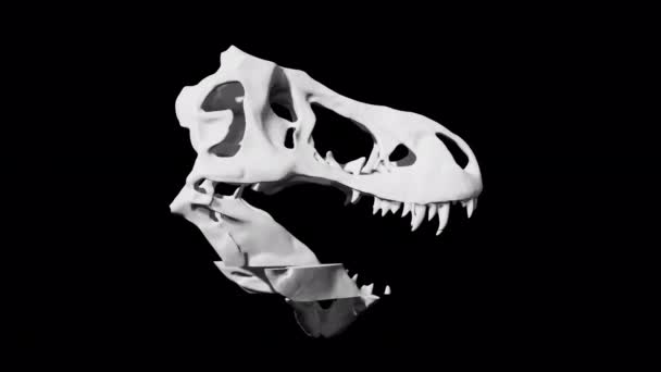 Dinoszaurusz Koponya Szobor Hiba Rotációs hurok Animáció 4K Ultra HD Transparetn háttér — Stock videók