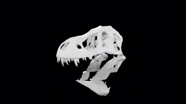 Scultura del cranio del dinosauro Glitch Rotation Loop Animation 4K Ultra HD su sfondo trasparente — Video Stock
