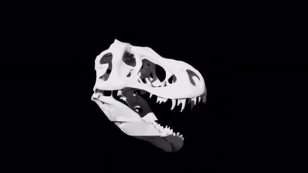 Dinosaur Skull Sculpture Glitch Rotation Loop Animation 4K Ultra HD on Transparetn Background — 비디오