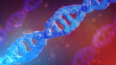 DNA Strand Döngü Animasyonu 4K