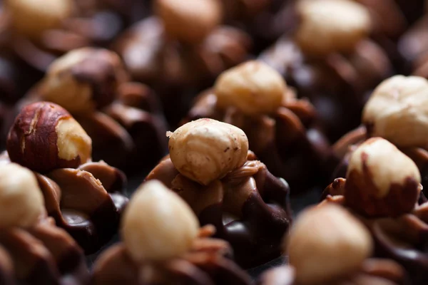 Hazelnut in chocolate — Stock Photo, Image