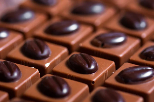 Çikolatalı pralin şekeri — Stok fotoğraf