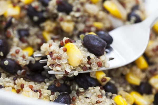 Quinoa yemek kapatın — Stok fotoğraf