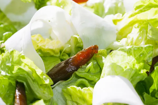 Close-up van salade met datums — Stockfoto