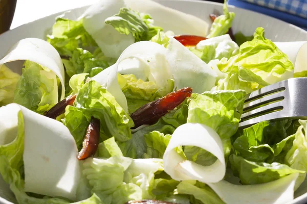 Verse salade — Stockfoto