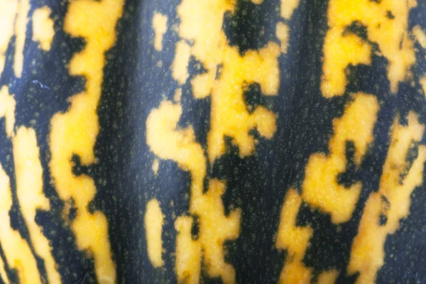 Acorn Squash Texture