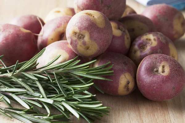 Apache potatis och rosmarin — Stockfoto