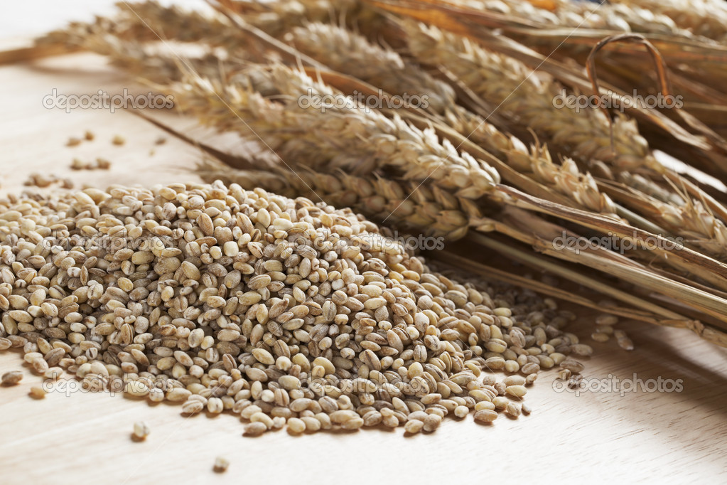 Pearled Barley