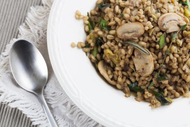 Mushroom Barley Meal