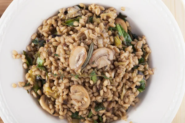 Vegan Barley Meal