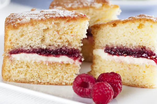 Pastel de esponja y frambuesas — Foto de Stock