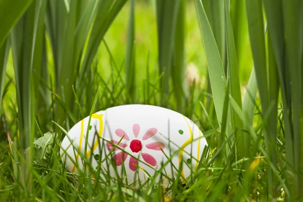 Rejtett húsvéti tojás — Stock Fotó