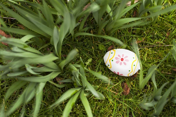 Easter Egg Hunt — Stock Photo, Image