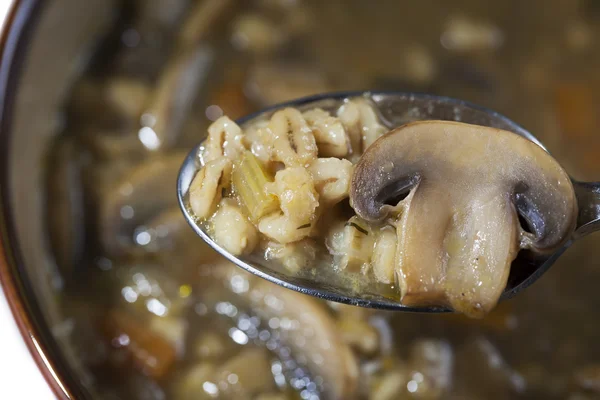 Esslöffel Suppe — Stockfoto