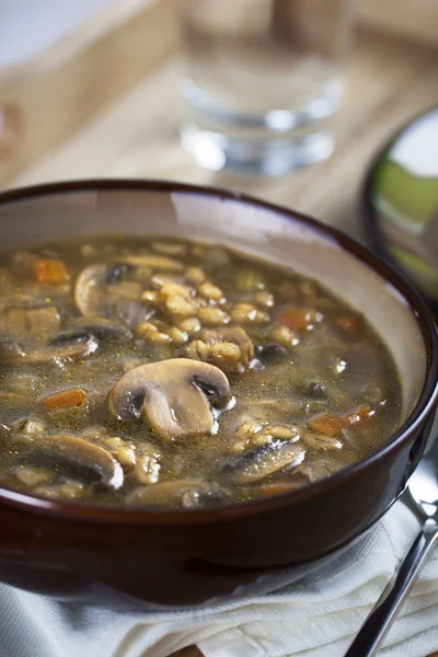 Bowl of Soup Vertical — Stock Photo, Image