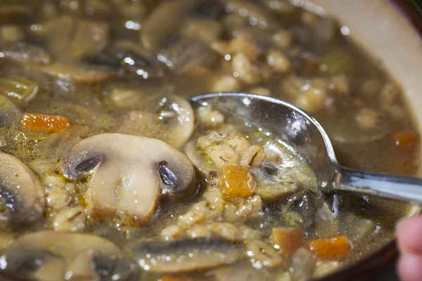 Nahaufnahme Gerstensuppe — Stockfoto