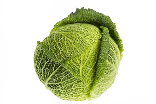 Whole Savoy Cabbage — Stock Photo, Image