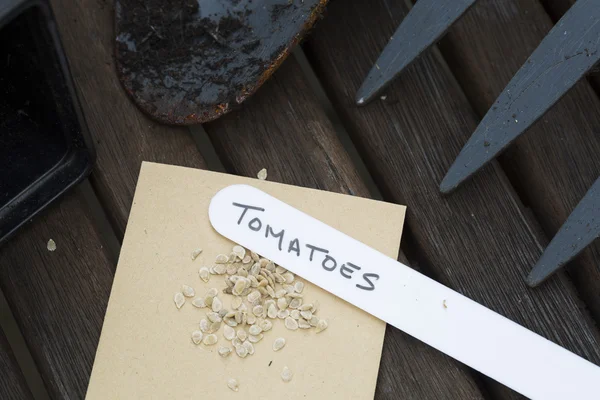 Tomato Seeds — Stock Photo, Image