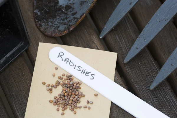 Radish Seeds for Gardening — Stock Photo, Image