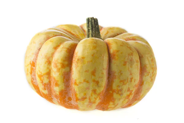 Izolované sladké blesk squash — Stock fotografie