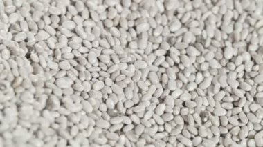 Chia tohum dökülen