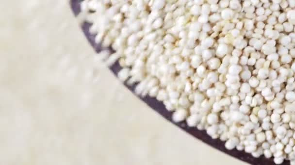 White Quinoa Grains Pour — Stockvideo