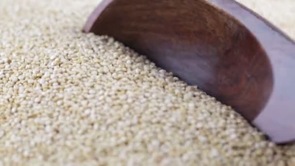 White Quinoa Grain Scoop — ストック動画