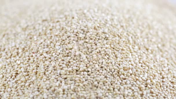 Quinoa-Körner fallen — Stockvideo