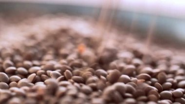 Lentil Pour Close Up