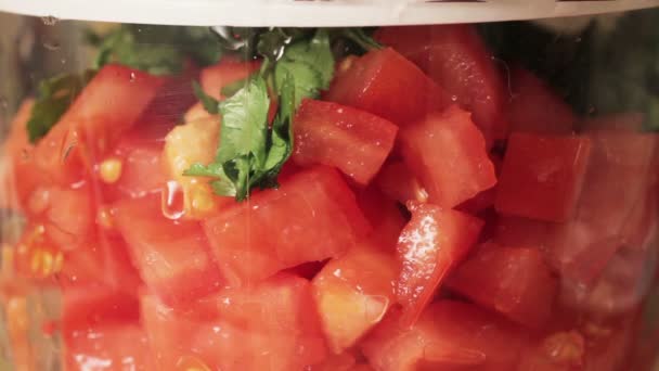 Making Salsa part 2 — Video Stock